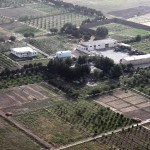 AFGHANISTAN – GUERRA ALLA COLTIVAZIONE DELL’OPPIO FAVORENDO COLTURE AGRICOLE MODERNE