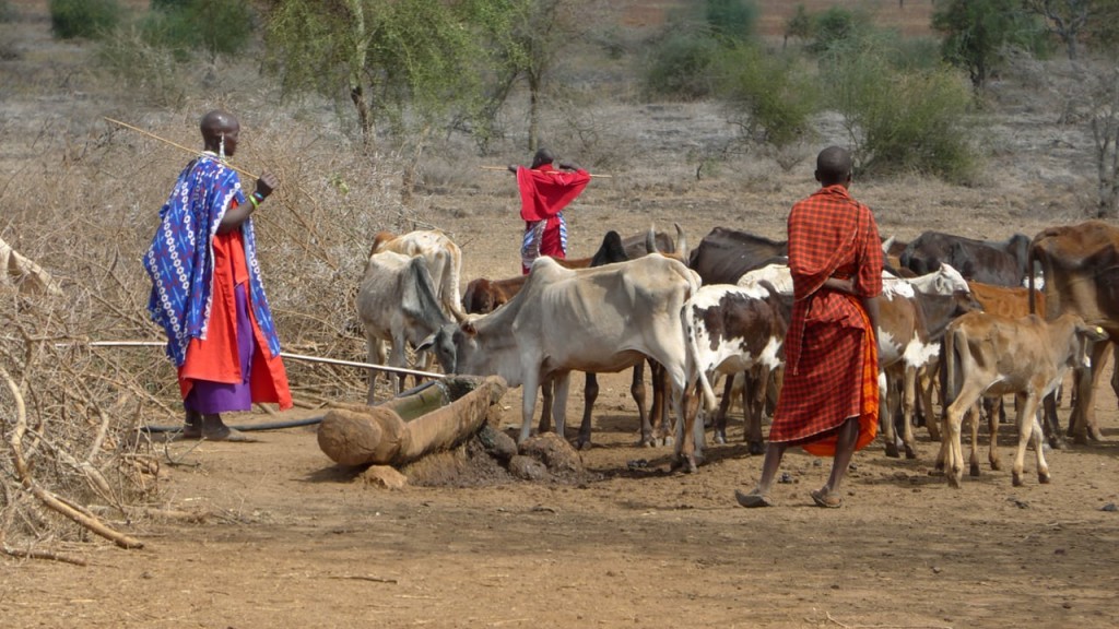 maasai_1_1280x720