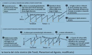 La teoria del ciclo sismico