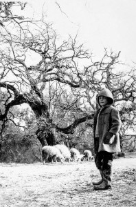 FOTOPASSIONE. Il pastorello – piccolo grande uomo dell’Aspromonte.