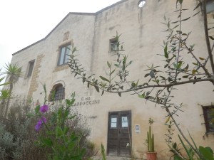 DETTAGLI ALLEGATO Piselli-di-Mendel-in-fiore-e-ramo-di-ulivo-al-Convento-dei-Cappuccini-in-Mesagne-Simboli-di-Scienza-e-Pace.