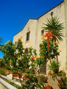 Fiori del Convento dei Cappuccini_Monastero del Terzo Millennio a Mesagne