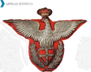 Raro fregio del Corpo per ufficiale. Nel 1925 lo scudo è stato posto sul petto del rapace mentre le fronde di alloro che lo circondano sugli artigli dello stesso.