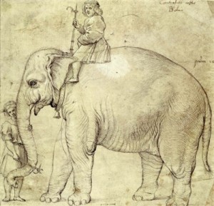 L’elefante Annone (disegno a penna su carta di Giulio Romano da un originale di Raffaello, anni 1514-16, Kupferstichkabinett, Staatliche Museen, Berlino).