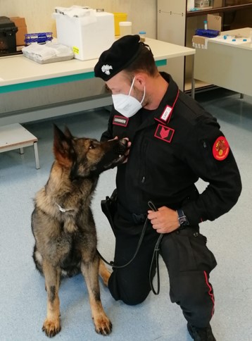 MILANO: ARRIVANO I CANI ANTI-COVID IN GRADO DI INDIVIDUARE I POSITIVI